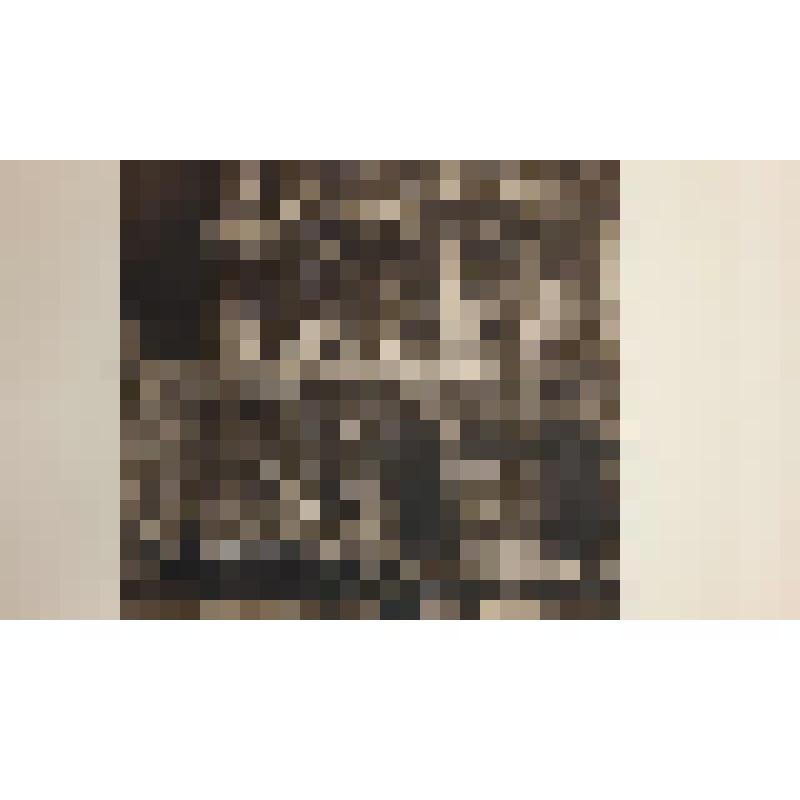 Палаццо Пезаро. XVI в. Италия, Венеция. Палаццо Пезаро. Вид с канала