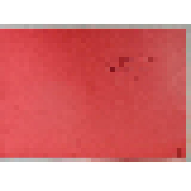 Акварель. Иван-чай