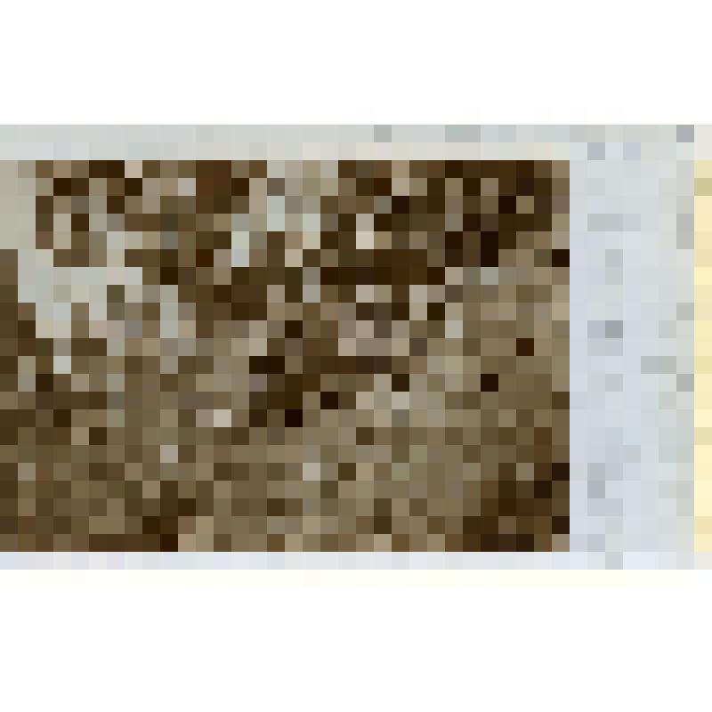 Почвенно-геологическая экспедиция в Верхоленском уезде