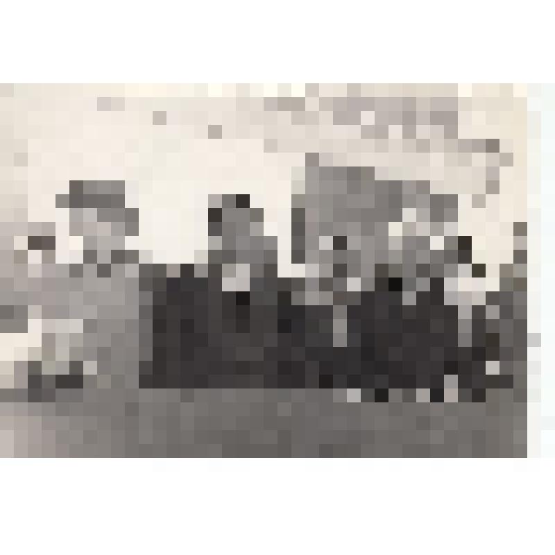 Ф/чб. Открытие автомоста Саратов-Энгельс через р. Волга. Президиум: выступление 1 секретаря ОК КПСС Шибаева А.И. 11.07.1965