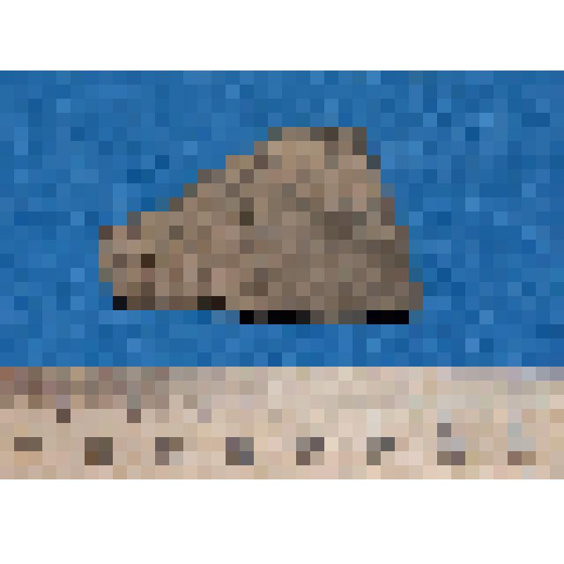 Стенки сосуда кругового серого цвета фрагмент