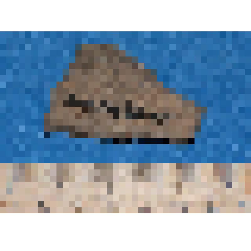 Стенки сосуда кругового серого цвета фрагмент