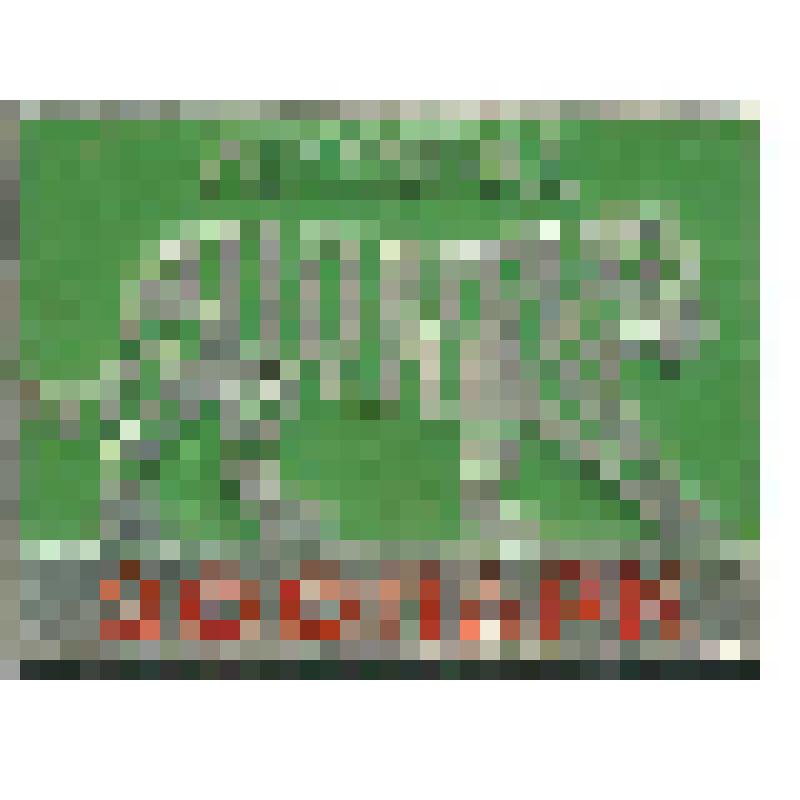 Значок. Ленинград. Зоопарк, на булавке. СССР