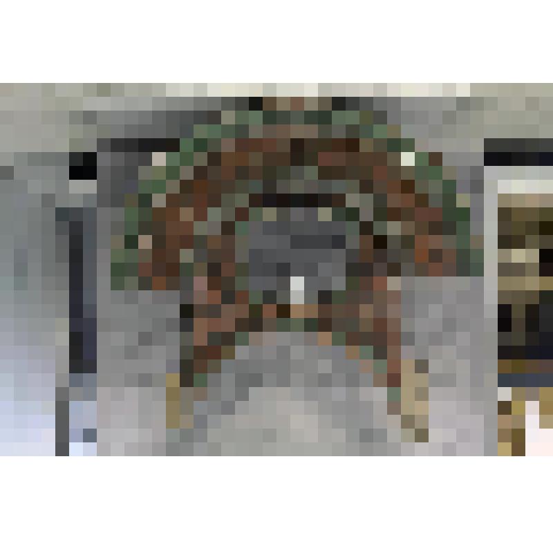 Сень от царских врат