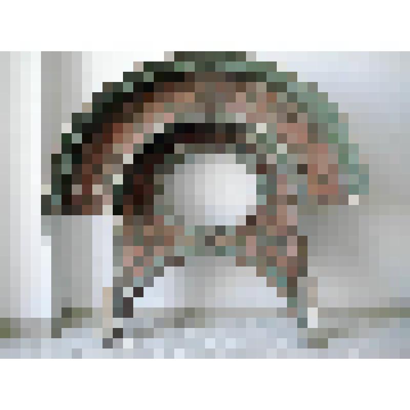 Сень от царских врат