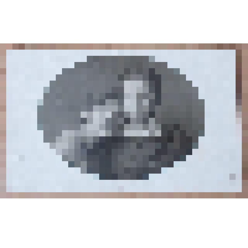 Фото Токарева Нина Протасовна (справа) и Норкина Лиза. Комсомольцы 30-х г.Нина Протасовна в комсомольской форме 30-х г. Снимок в овале