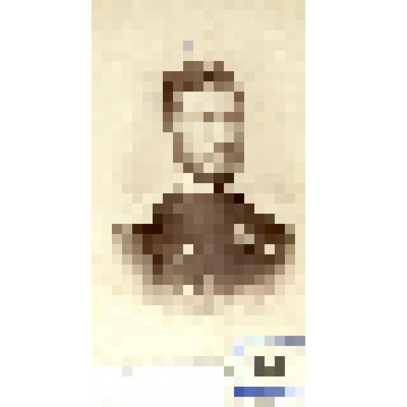 Фотография черно-белая. Урнижевский Александр Николаевич