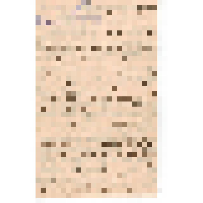 Письмо Е.Ф. Киселева ("Калиныч")  адресованные им в Шую из Владимирской тюрьмы на имя Елены Филипповны Зайцевой - Сапоговой