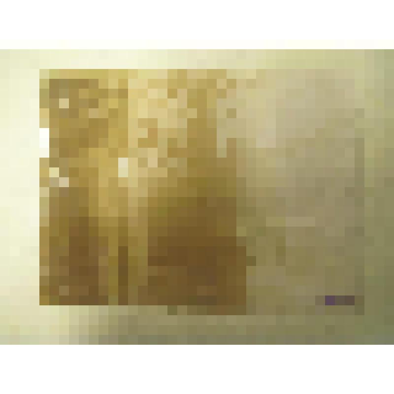 Церковь Сергия в Пушкарях. Колокольников пер. 1689 г. г. Москва. Церковь Сергия в Пушкарях. Фрагмент интерьера у входа под колокольней