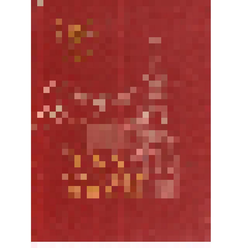 Рапорт комсом. орг-ции г. Кыштыма XXV съезду КПСС из 8 листов