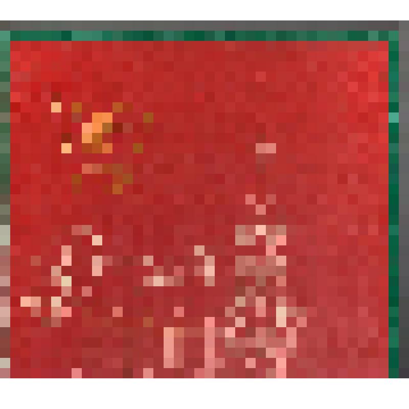 Рапорт комсом. орг-ции г. Кыштыма XXV съезду КПСС из 8 листов