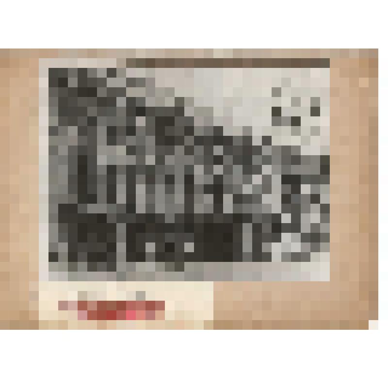 Фотография. Театр им. Руставели. Тифлис