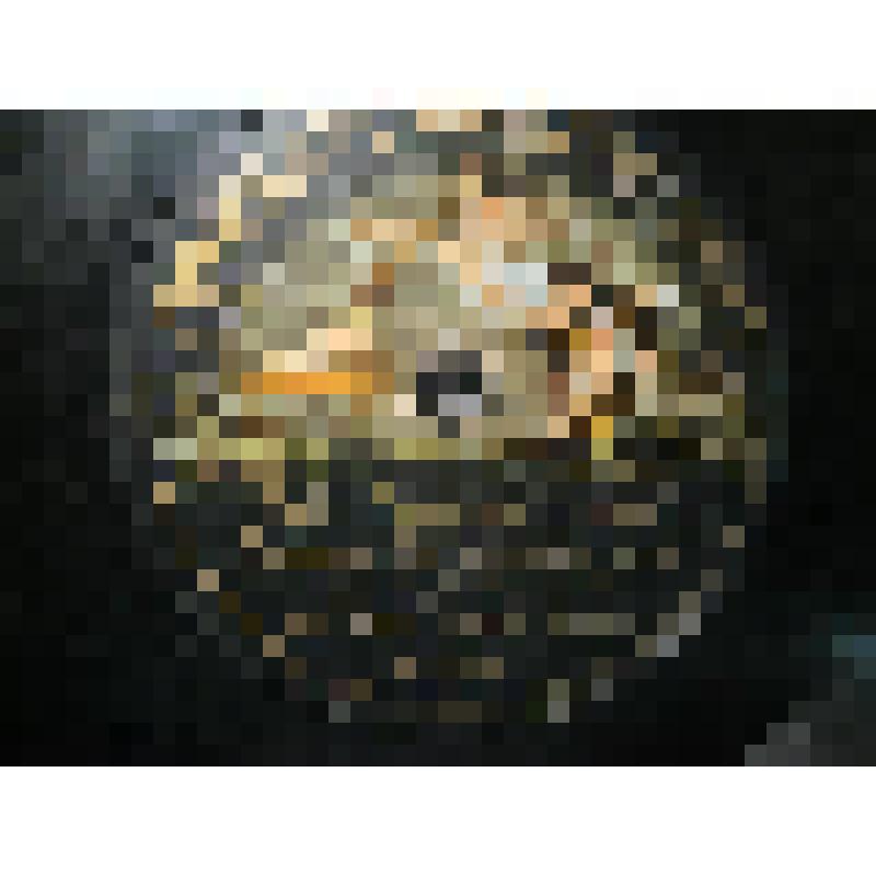 Грампластинка. 1. Рассказ "Все будем там". Исполняет Борисов Б.С.  2. Рассказ Горбунова "Воздухоплаватель". Исполняет Борисов Б. С