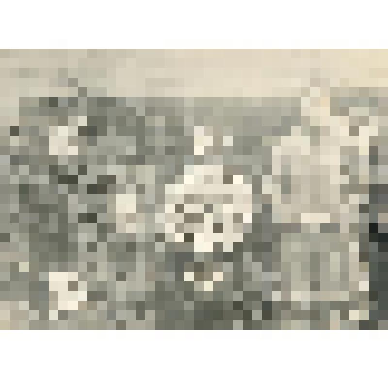 Фотография. Бабушка Тифток