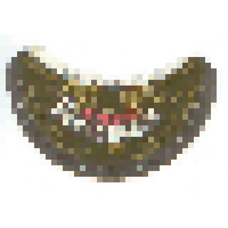 Кольеретка к пиву «Российское» производства Саратовского пиво-безалкогольного завода, из коллекции кольереток - этикеток горловых к бутылкам для пива