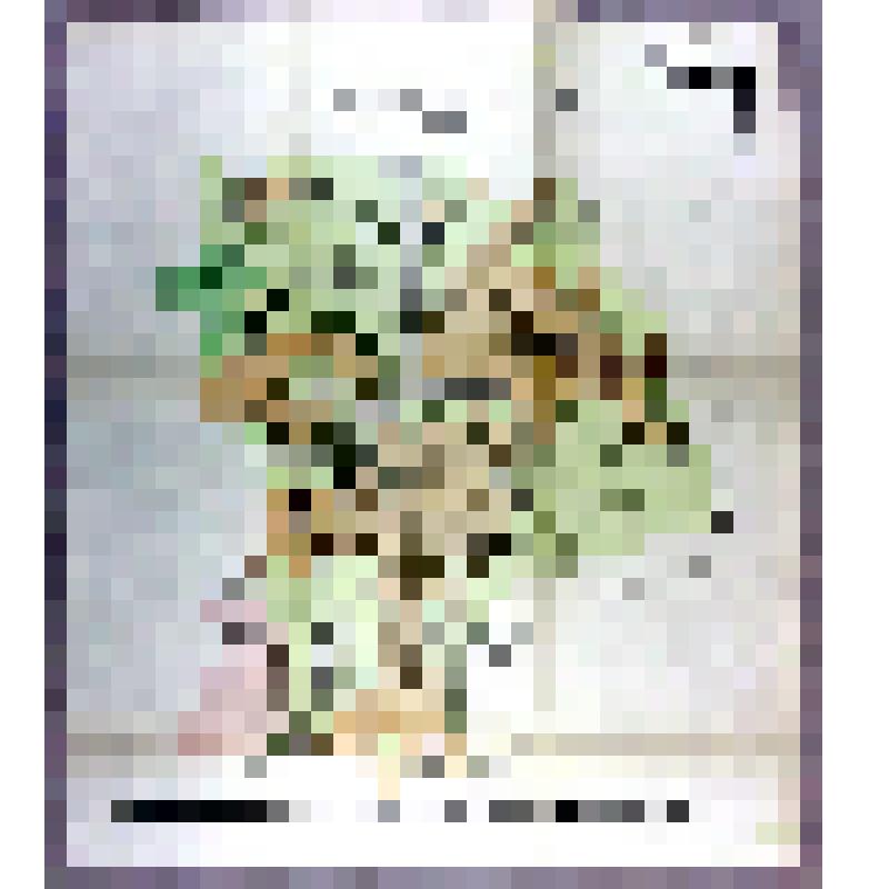 Карта гидрогеологическая. Красноармейский район