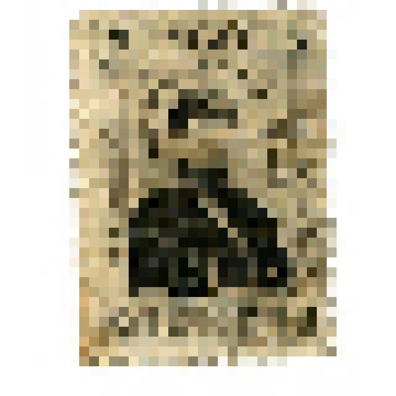 Почтовая марка 40 мунгу. Портрет Сухобатора