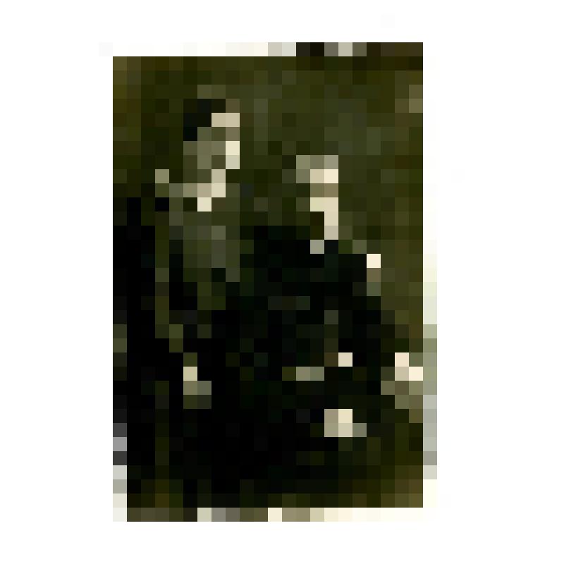Фотография чёрно-белая. Фотография