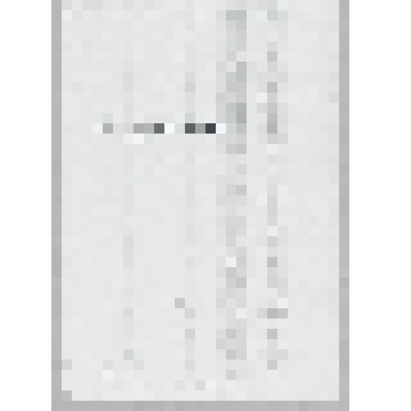 Документ. Соглашение между правительством Республики Корея и правительством Российской Федерации о культурном сотрудничестве