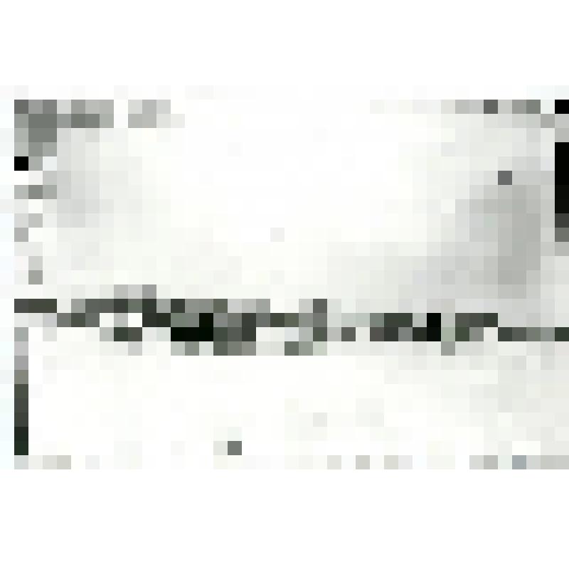 Фотокопия со стеклянных негативов. Поселок на севере