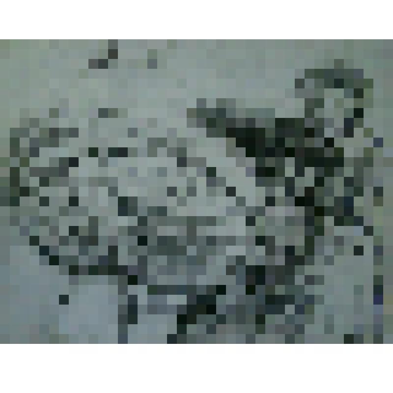 Композиция