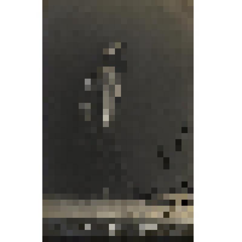 Фотография. Адамович Е.М., солистка балета БТ в костюме. "Корсар". Адан А., Пуни Ц.; 1912, балетм. Горский А.А., худ. Коровин К.А