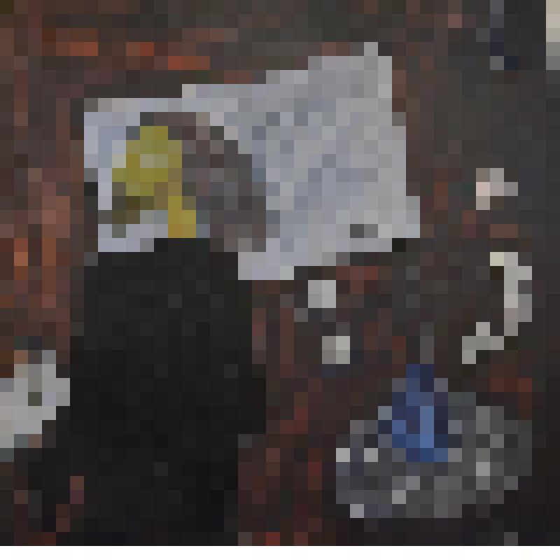 «Лунная ночь». Картина