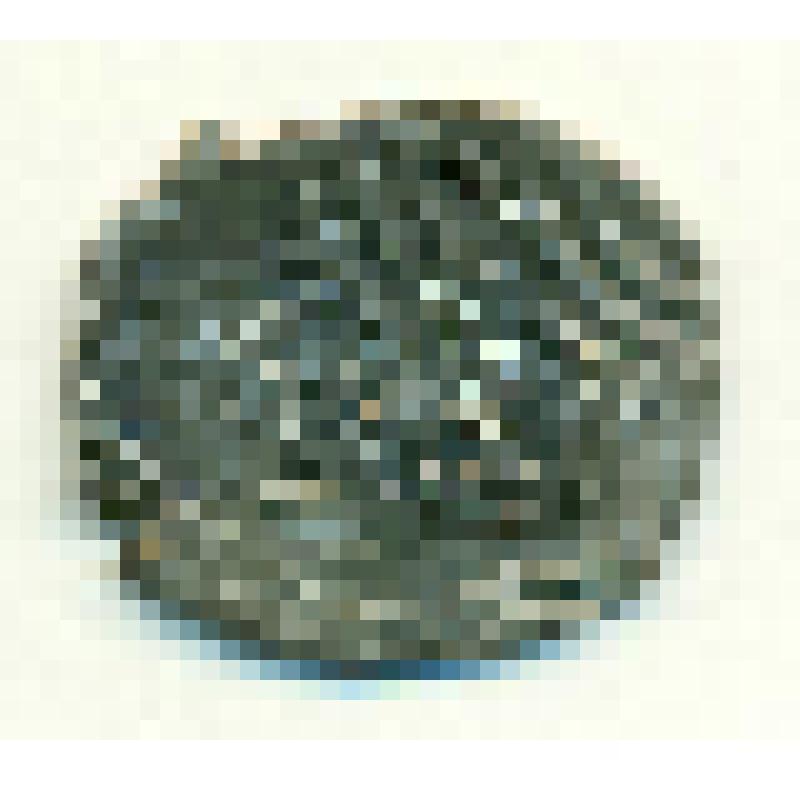 Монета дирхем анонимный периода Золотой Орды. Золотая Орда