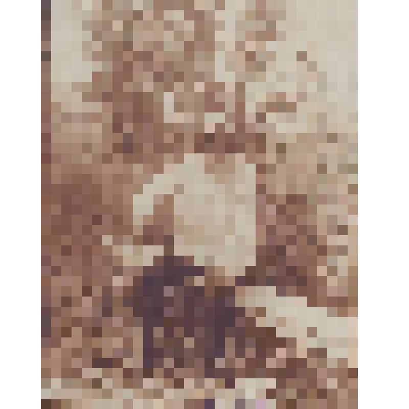 Фотография. С.Д.Дрожжина снят у ручья