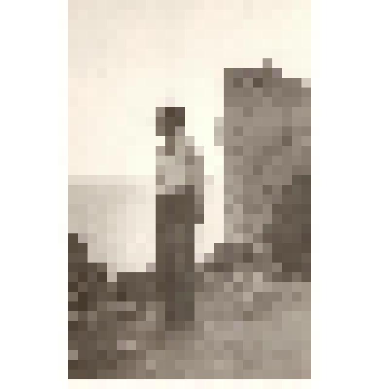Фотография. Пелисов Г.А. Одиночество