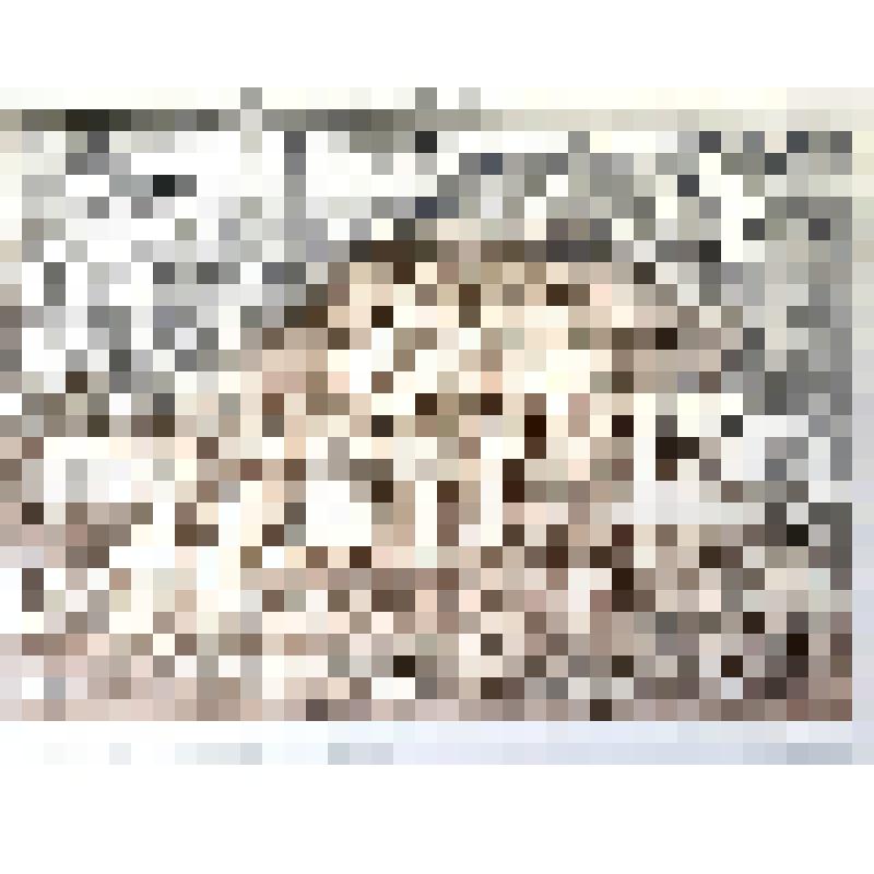 Офорт "Дом-музей М.И.Цветаевой в Александрове-граде"