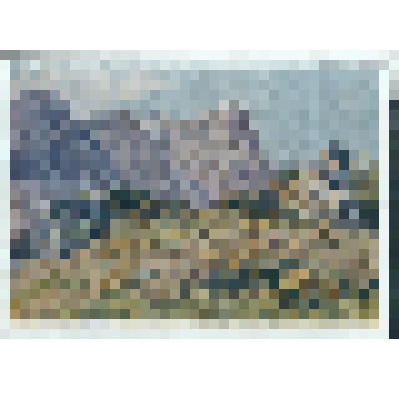 Крым. Цветет молочай. 1955. Репродукция работы худ. Яковлева Б. Н