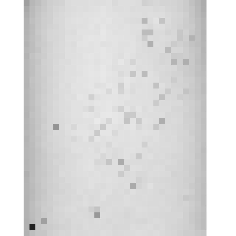 ФОТО СЮЖЕТНОЕ. БЕЗБОРОДОВ Ф.Л. 1961г