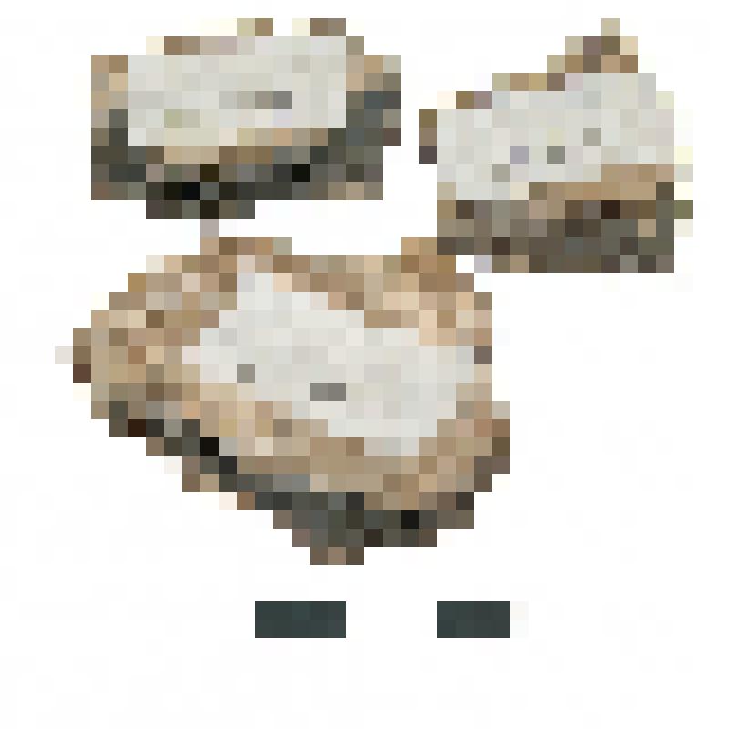 Сосуд. Фрагменты стенок. Памятник Торопово-7