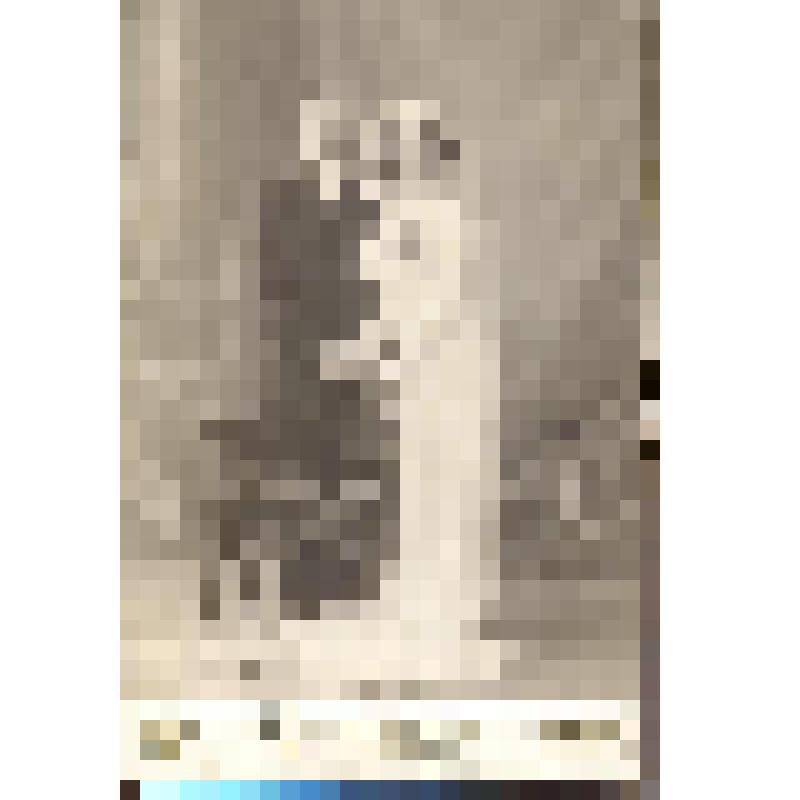 Фотография. Прасковья Самойловна Книжник с мужем (преподаватель математики в Еврейской школе №15 Иркутска)