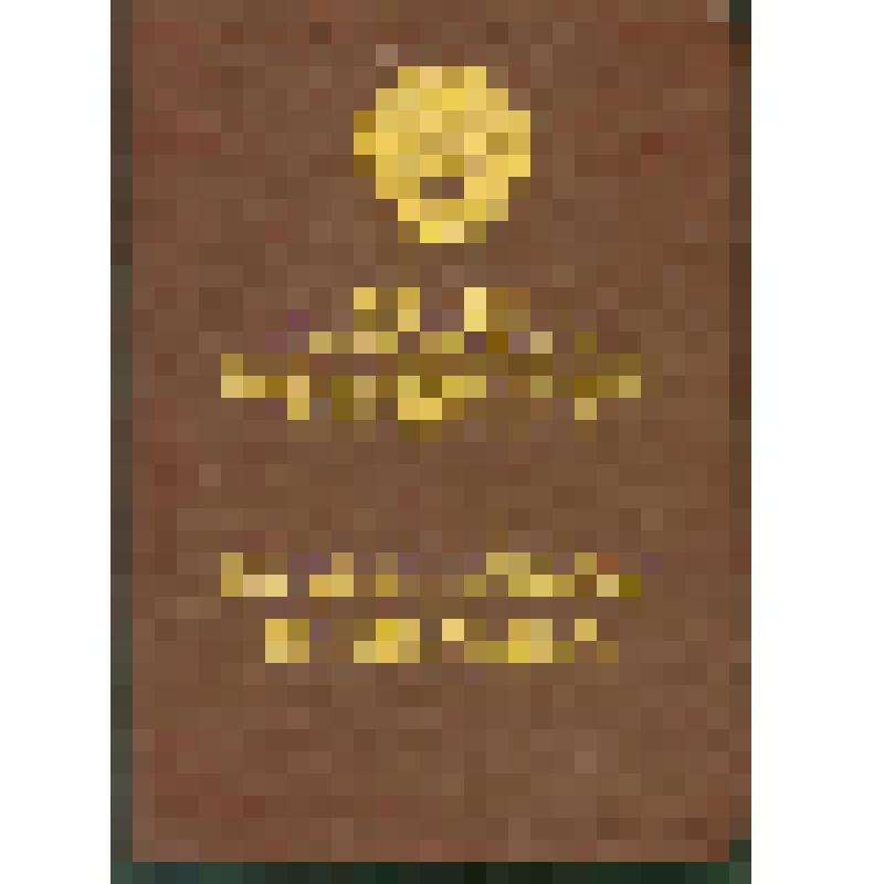 Орденская книжка Е № 219252 к ордену "Знак Почета" Костина Дмитрия Ивановича