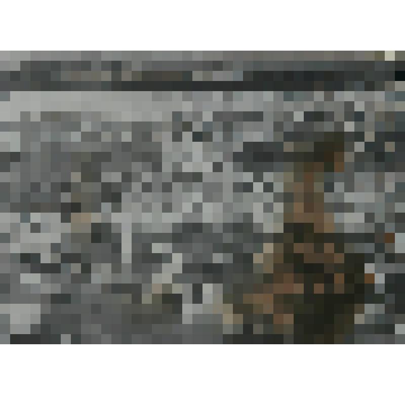 Фотография маточного стада старшей  утятницы Приемченко А