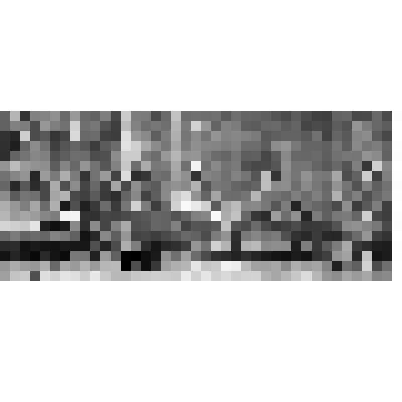 Репродукция с фотографии. Сцена из спектакля МХТ по пьесе М.Горького "На дне",д.4, из "На дне" М.Горького. Московский Художественный театр