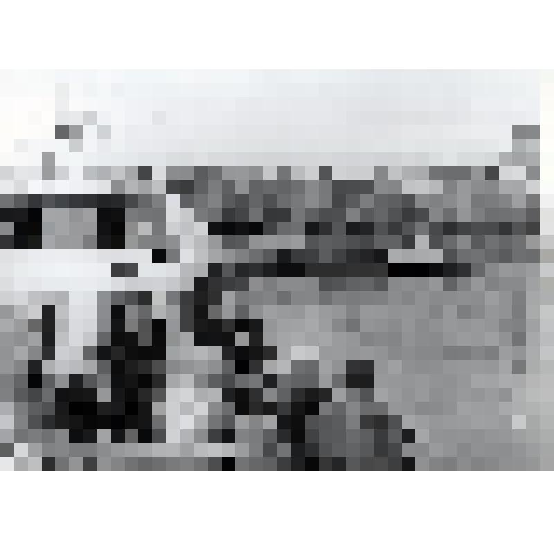 Фотография. Делегация муниципалитета г.Плимута (Великобритания) на катерной прогулке