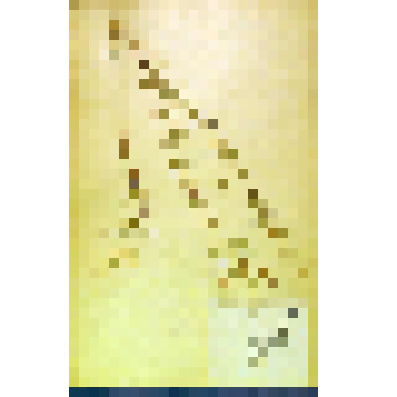 Лист гербарный. Рыжик посевной (Camelina sativa)