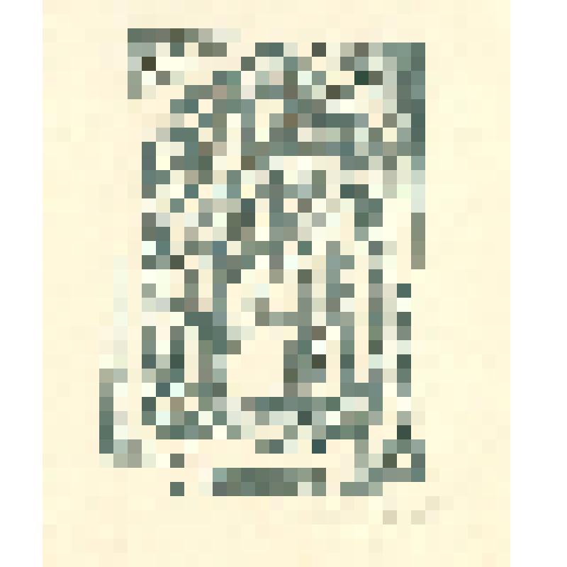 EX LIBRIS Зыряновых А. и Г. Экслибрис