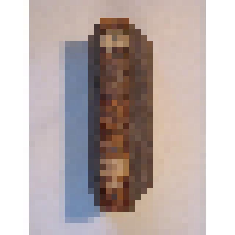 Книга. Словарь географический Российского государства, описывающий азбучным порядком. Часть V. Р. – С. / Собр. Афанасий Щекатов. – М.: вольная типография у Фёдора Любия, 1807