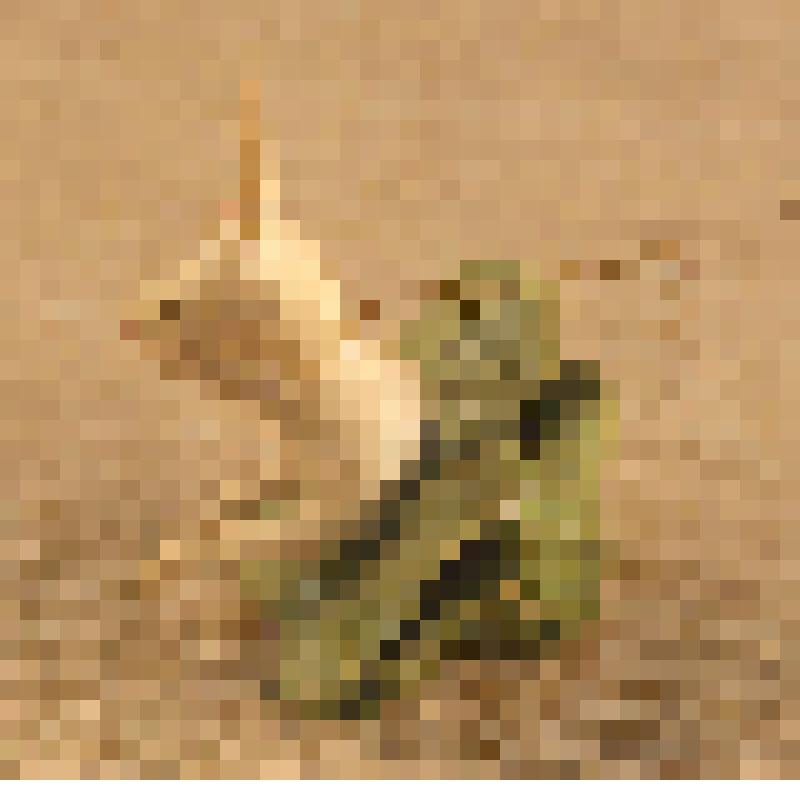 Игрушка елочная «Заяц в капусте»