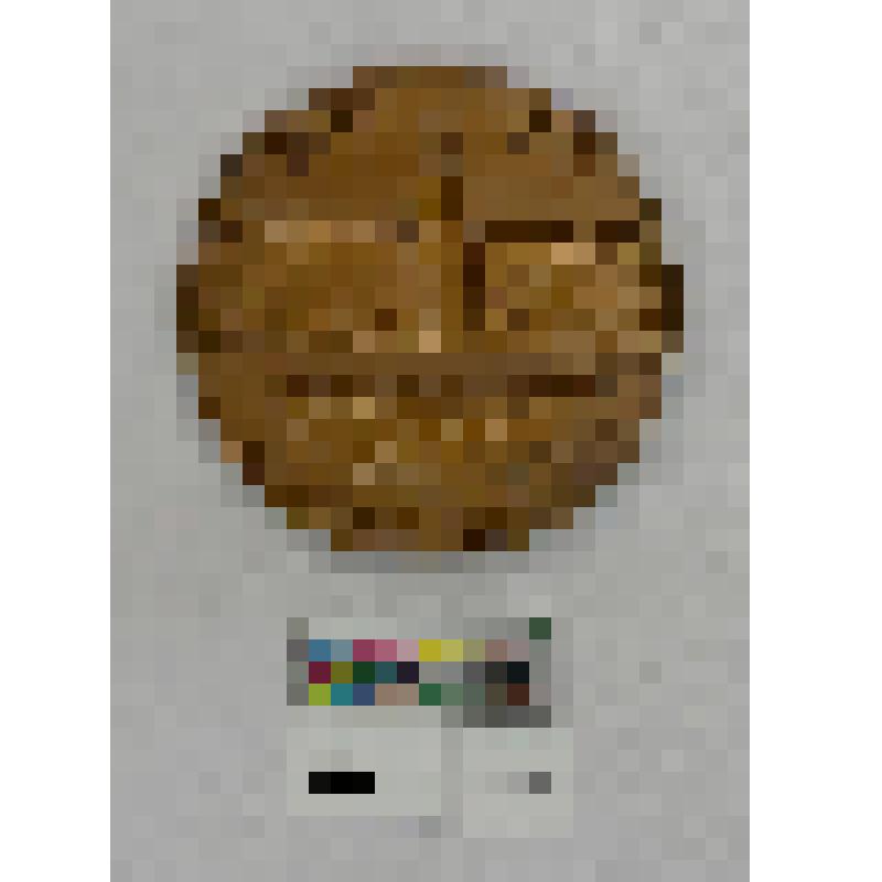 СССР. Медаль. 250-летие Академии Наук. 1974 г