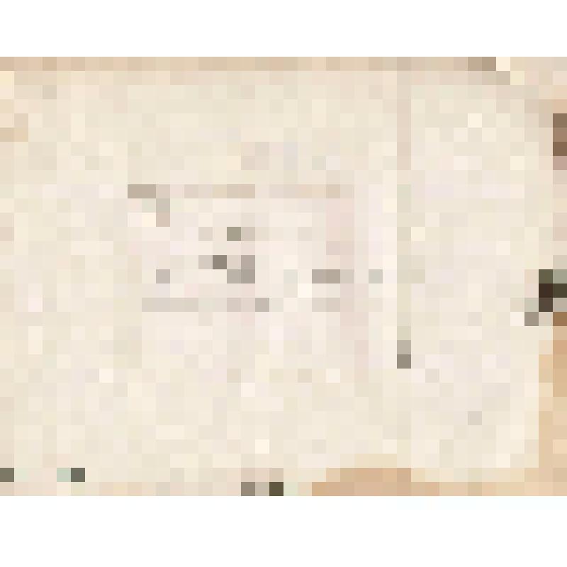 Телеграмма № 447 в г. Чердынь В. Н.Алину от Бодунова из г. Перми, 19.09.1884 г