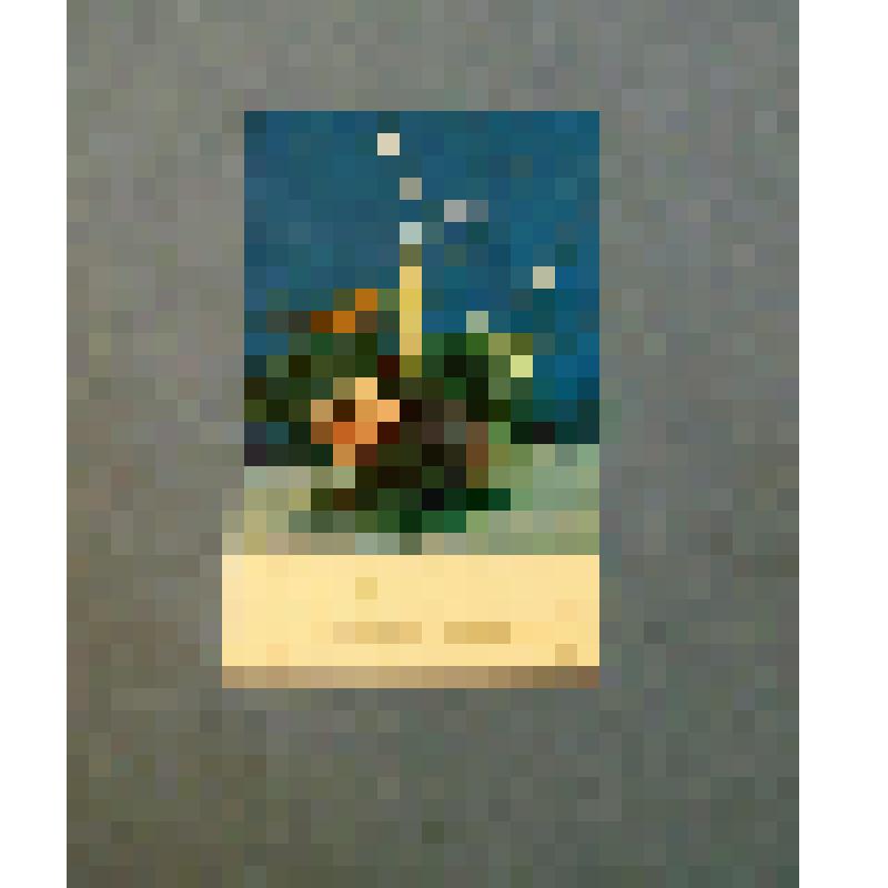 Документ. Поздравительная открытка от учеников 4"А" класса  средней школы N20 г.Львова, УССР к Островской Р. П