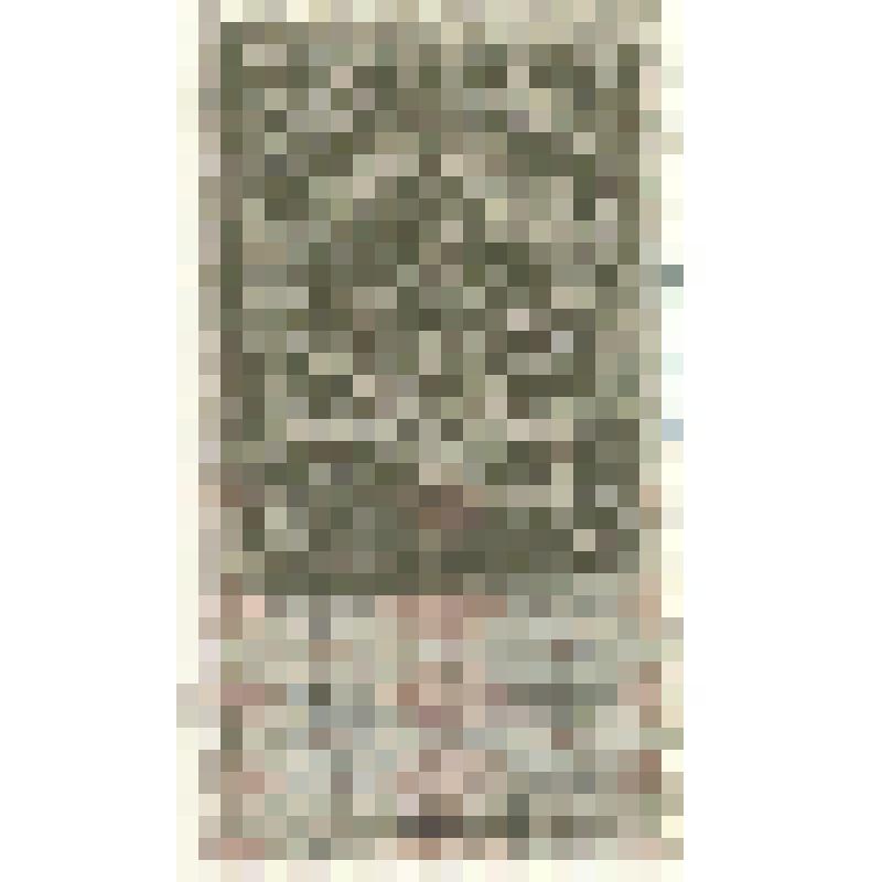 Марки почтовые. Марка гербоваая. 10 копъекъ. (зеленый). "Гербовая марка" с изображением короны Российской империи