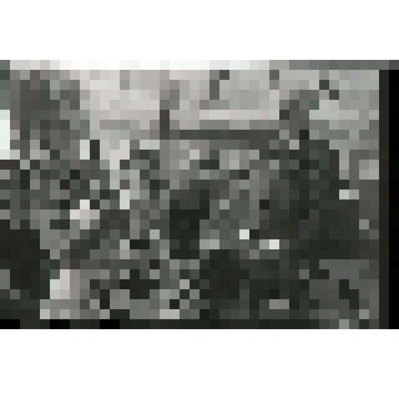 Негатив. М.Я.Макагон выступает перед школьниками школы №107