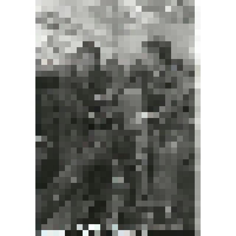 Негатив. Челябинский машиностроительный завод автомобильных и тракторных прицепов