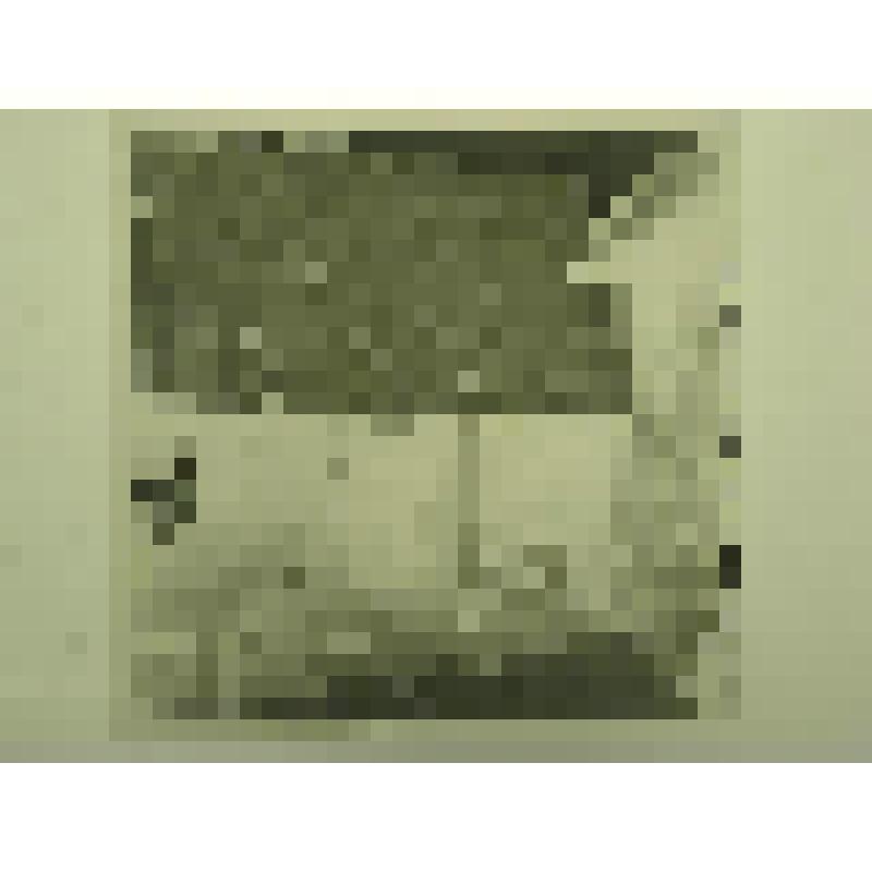 Дом Н.М.Беспалова. Ул. Привокзальная, 29. кон.XIX-нач.ХХ вв. Челябинская  обл., г. Карабаш, пос. Южный (с.Саймоновское). Дом Н.М.Беспалова. Ул. Привокзальная, 29. кон.XIX-нач.ХХ вв. Амбар. Фрагмент фасада с входом. Вид со стороны двора